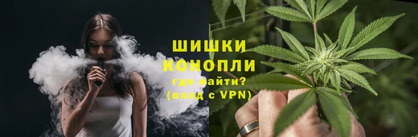 индика Белокуриха