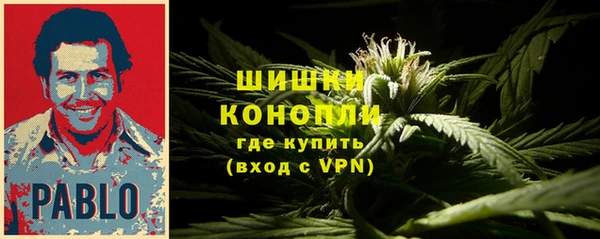 ПСИЛОЦИБИНОВЫЕ ГРИБЫ Богородск