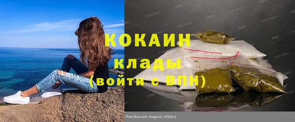 ПСИЛОЦИБИНОВЫЕ ГРИБЫ Богородск